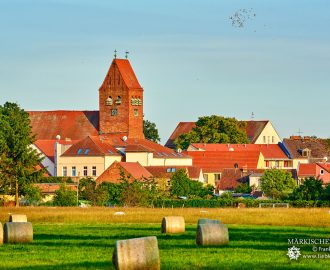 Kremmens Storch mit bester Aussicht