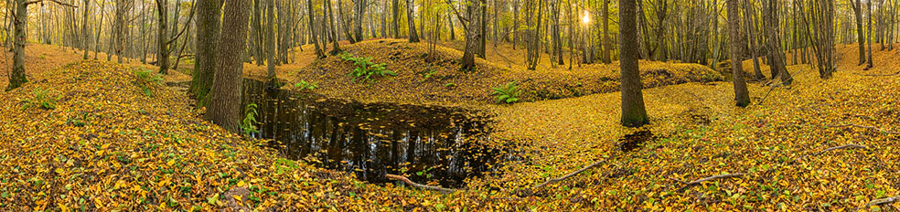 Der Fluss Bäke bei Schmachtenhagen