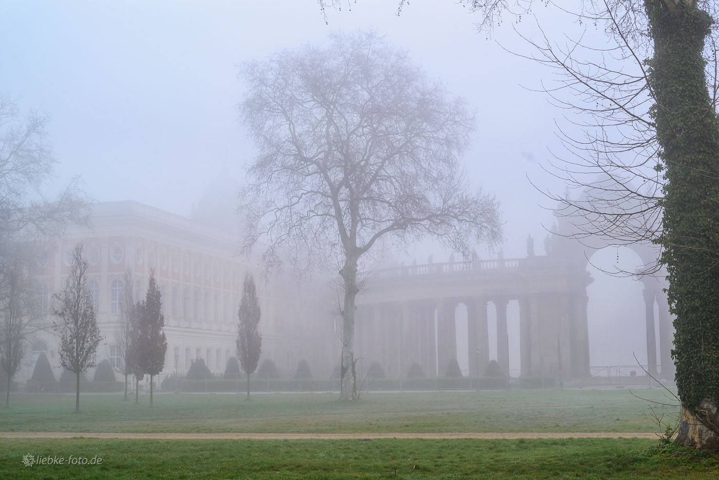 Frühjahr und Nebel am Neuen Palais von Sanssouci