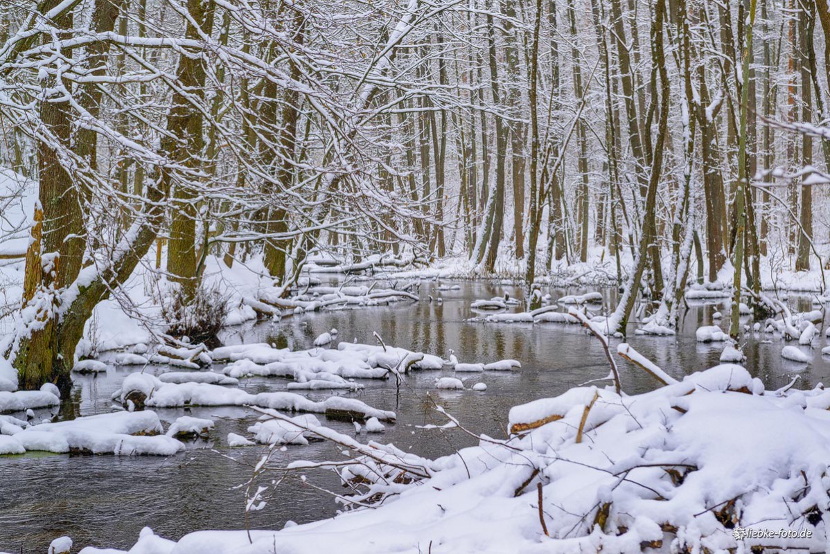 Das Briesetal im Naturpark Barnim - Ein Wintermärchen