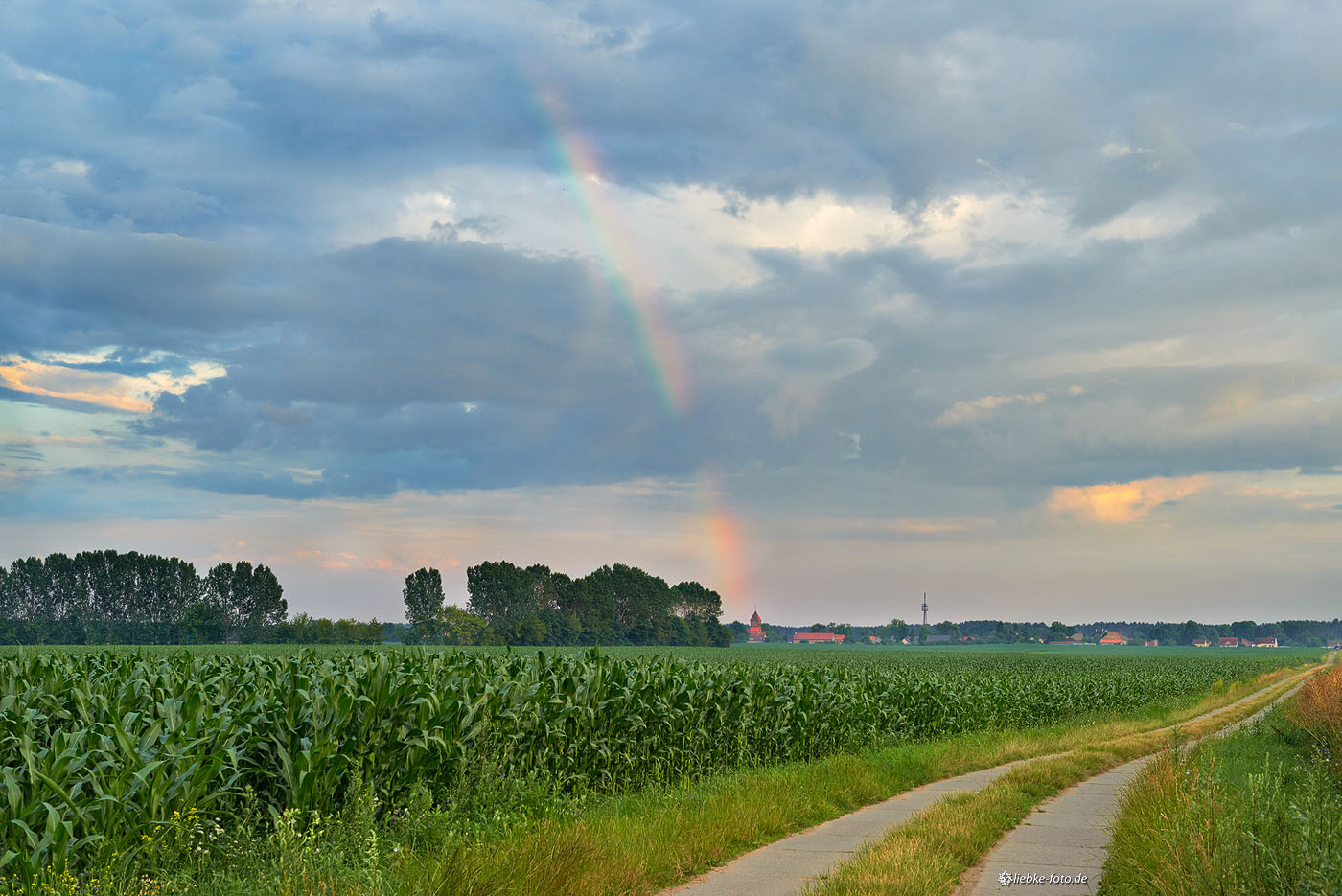 Ein Regenbogen über Wensickendorf