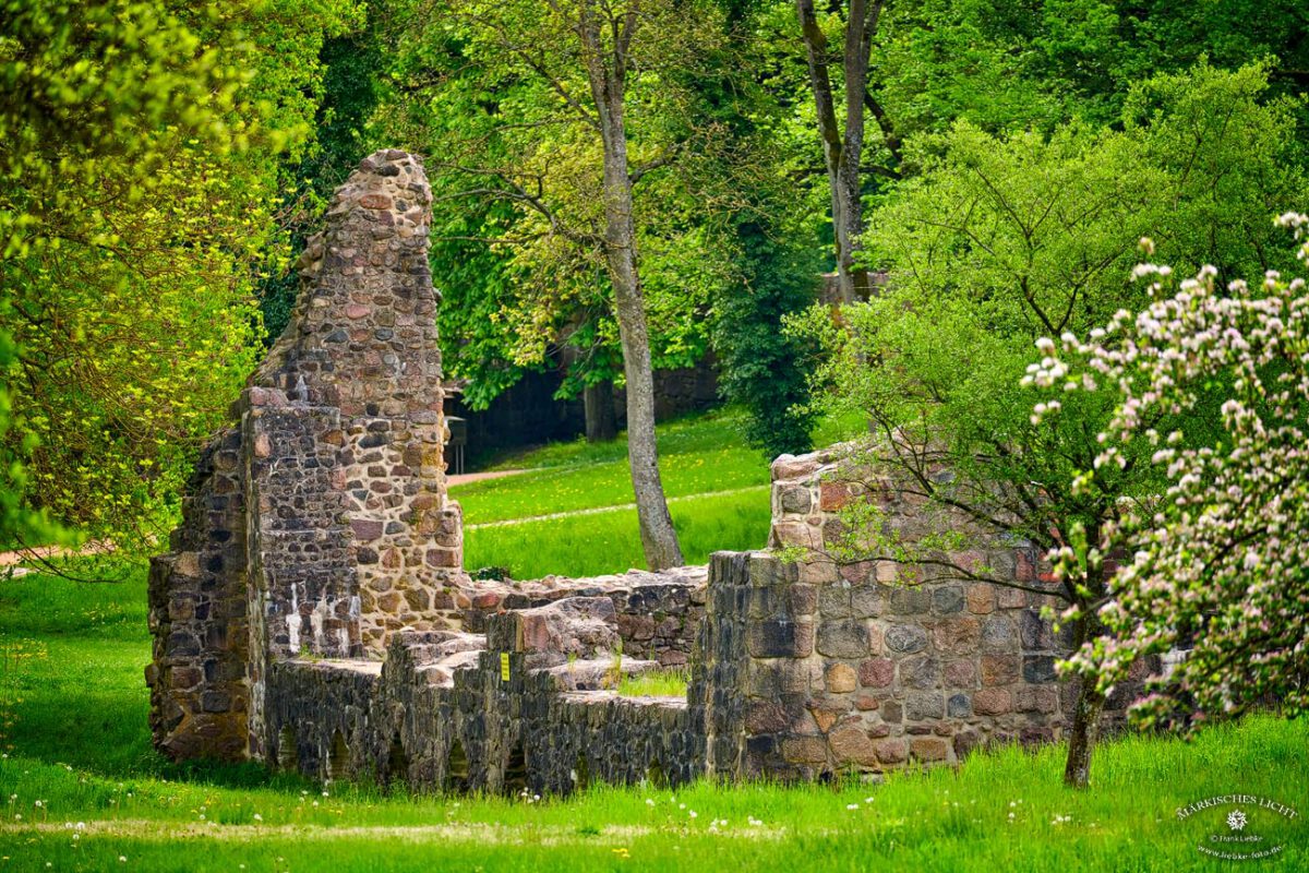 Die Ruine der alten Klostermühle