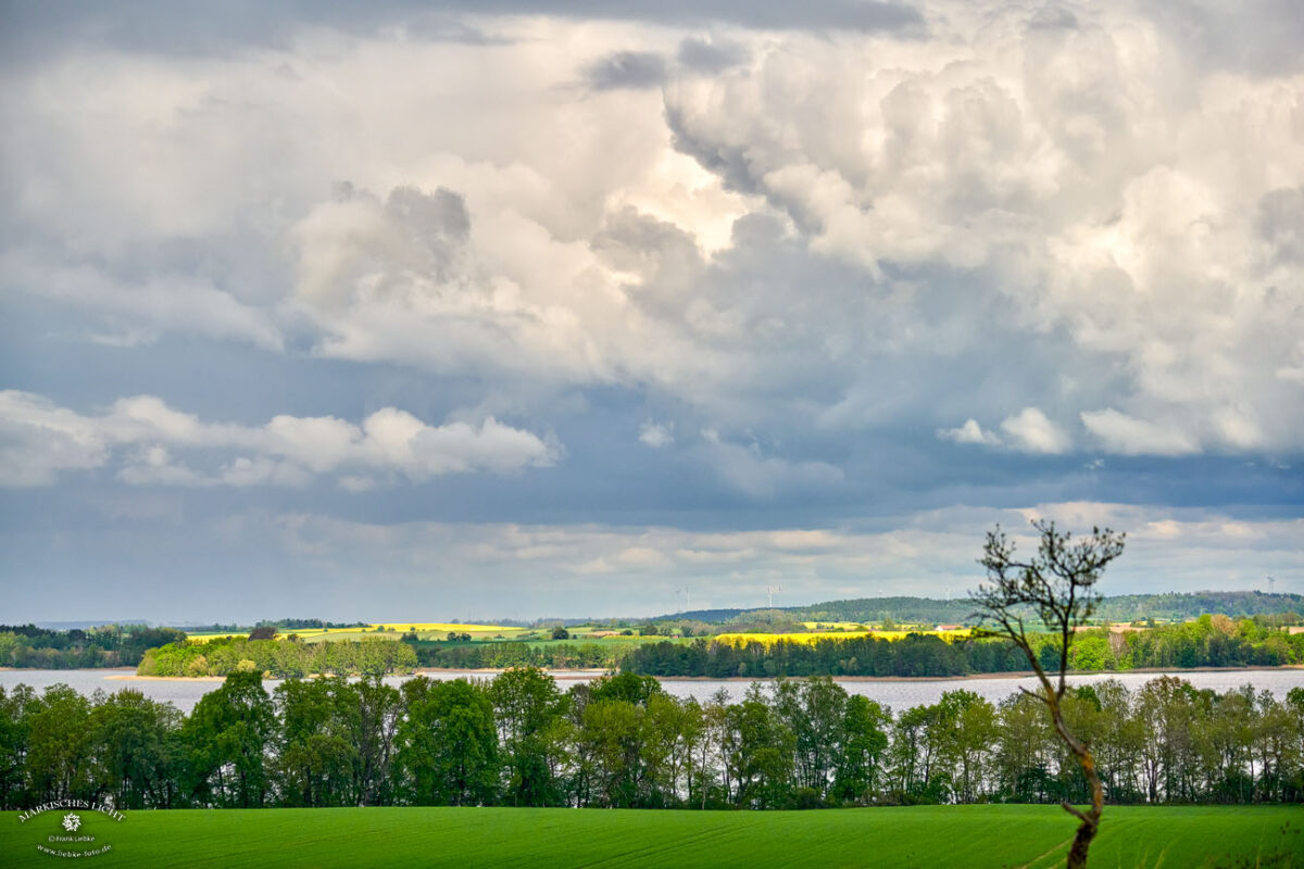 Blick über den Parsteiner See in den Vorläufer der Uckermark