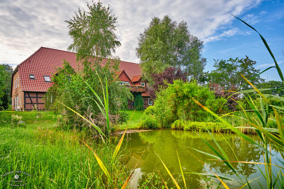 Landhaus Elbeflair in der Lenzerwische. Der kleine hübsche Teich hinterm Landhaus lädt zum Träumen ein.