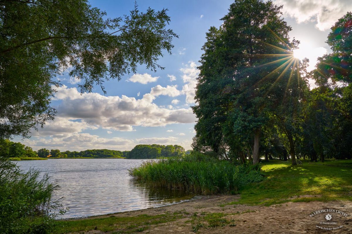 Der Ivenacker Schlosspark grenzt an den Ivenacker See