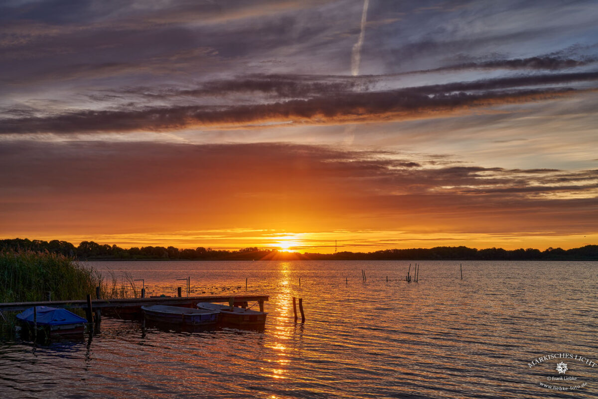 Der neue Tag beginnt und die Sonne schickt ihr warmes Licht über den Groß Schauener See. Er gehört zu Sielmanns Naturlandschaften.