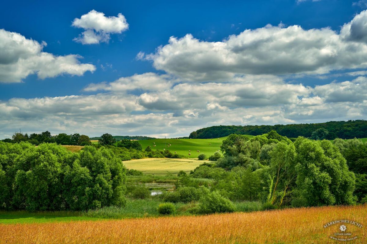 Reise zum Mittelpunkt der Uckermark