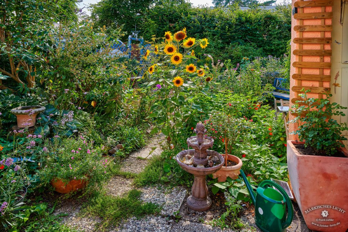 Unser Garten, voller Lebewesen. Eine lebendige Gesellschaft.