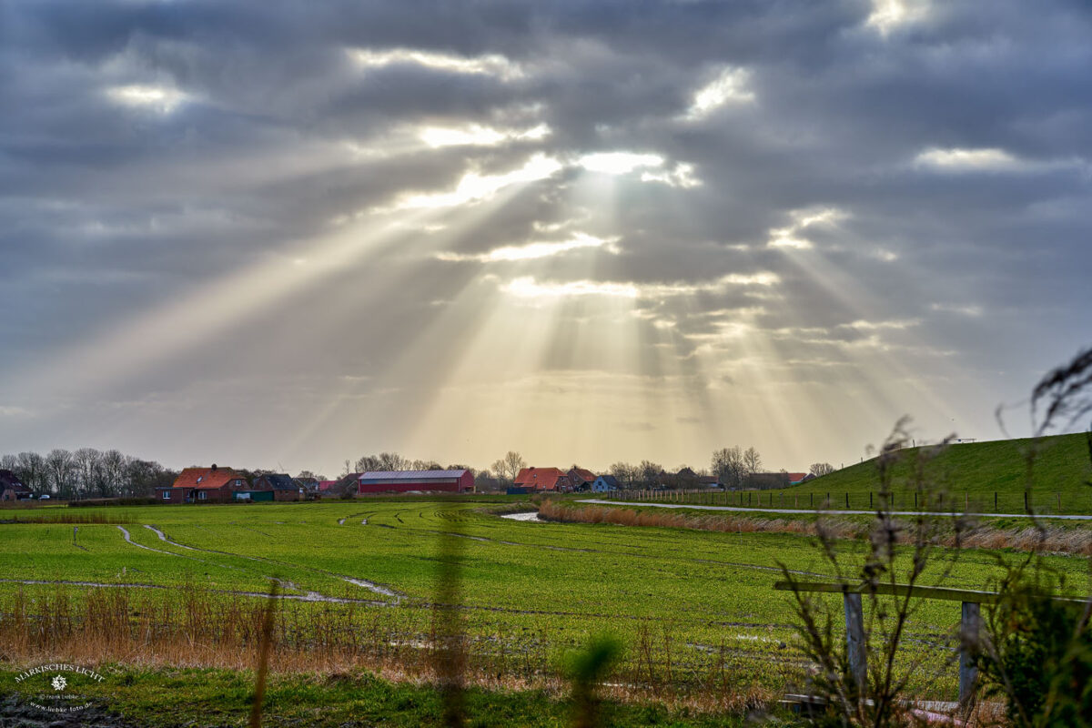 Die Luchtwieven über Ringschlot, Deich und Ostbense in Ostfriesland. Sie waren uns immer wieder gewogen, als ob sie wussten, dass Patricia ihre Geschichte erzählen wird.