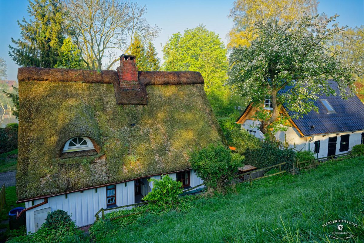 die Reetdachkate Dornbusch
