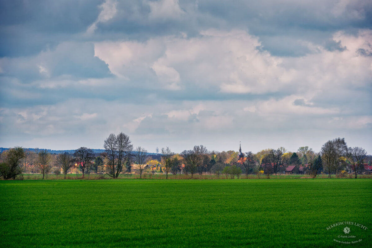 Entfernter Blick nach Schlepzig im Unterspreewald