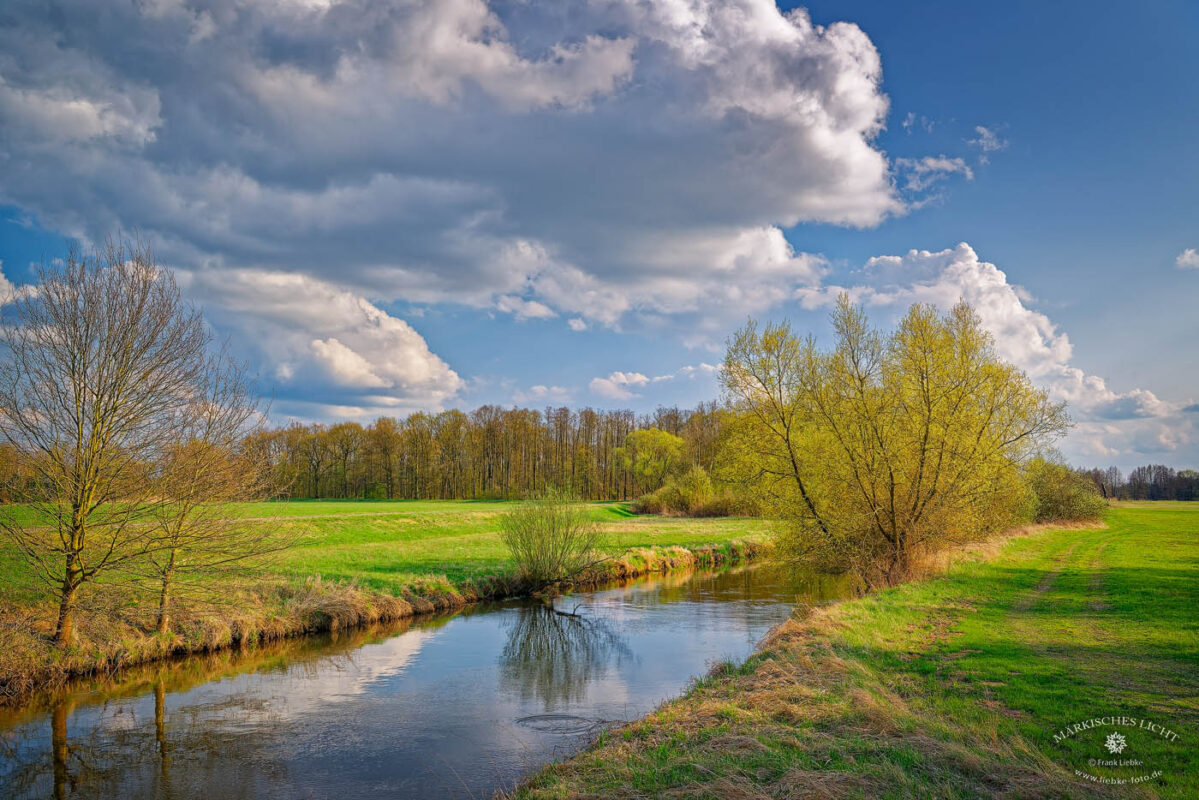 In der Nähe von Neu Lübbenau im Unterspreewald