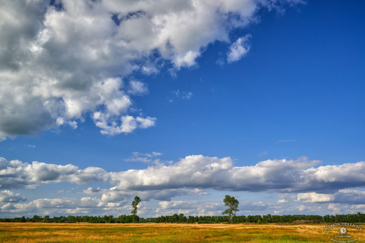 Licht, Wolken, Weite. Naturpark Barnim bei Liebenwalde, Oberhavelland