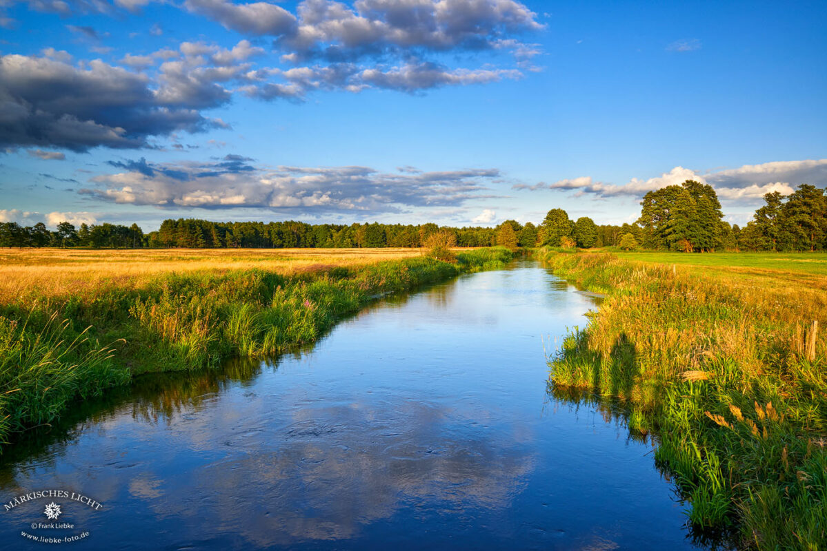 Die Namensgeberin im ruhigen Fluss. Schnelle Havel im Naturpark Barnim