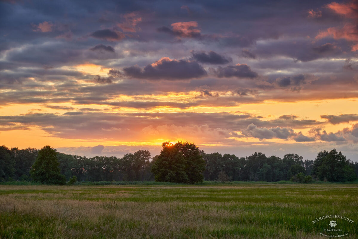 Sommerabend im Naturpark Barnim bei Liebenwalde, Oberhavelland