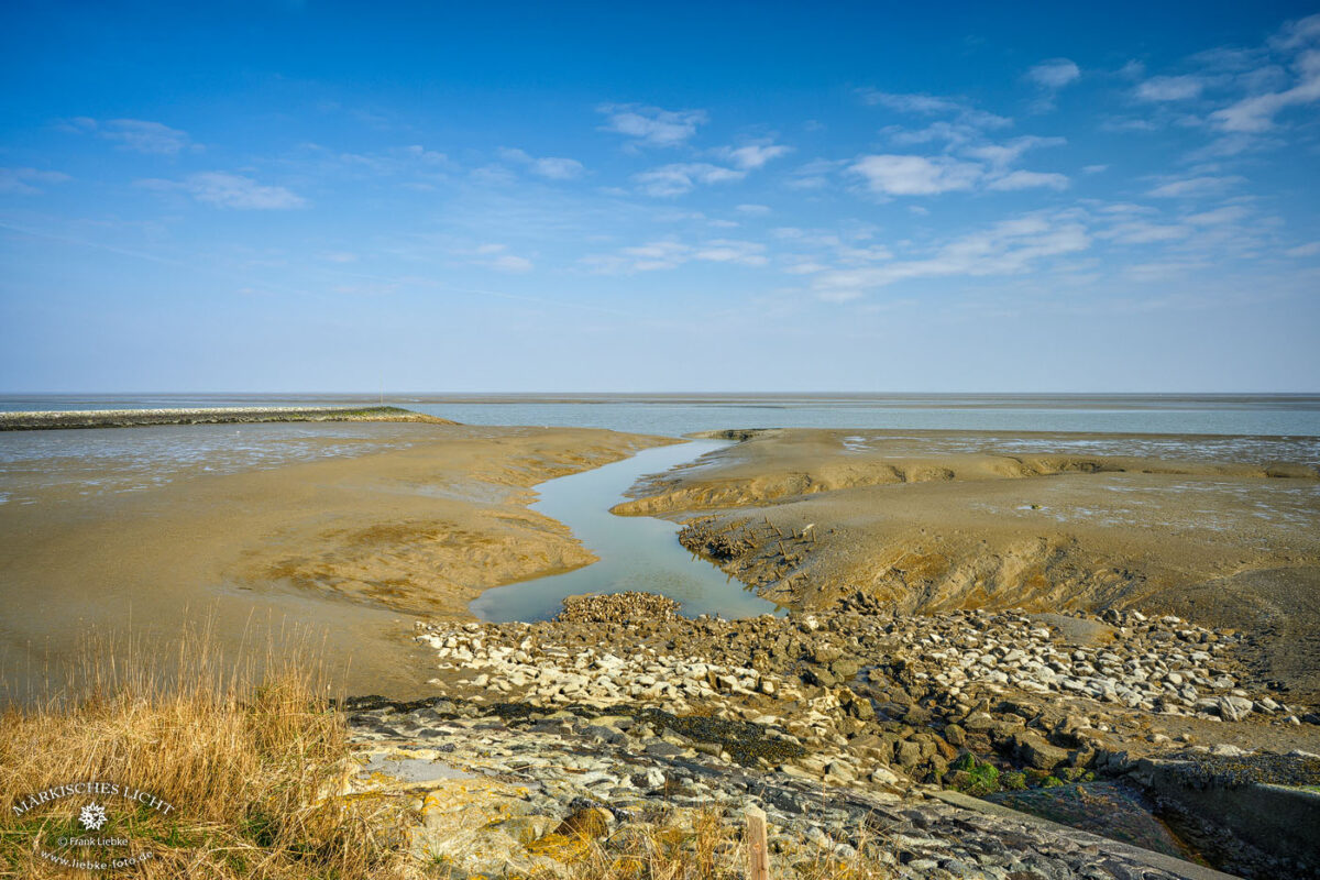 Der Langwarder Groden im Nationalpark Wattenmeer