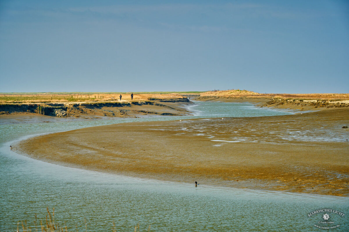 Eine Wanderung durch ein Wunder-volles Kleinod im Wattenmeer noch weit entfernt von der Nordsee