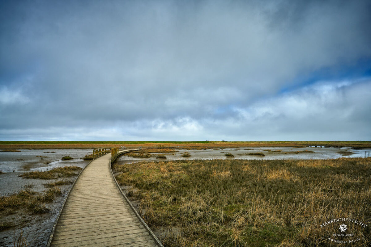 Der Langwarder Groden im Nationalpark Wattenmeer
