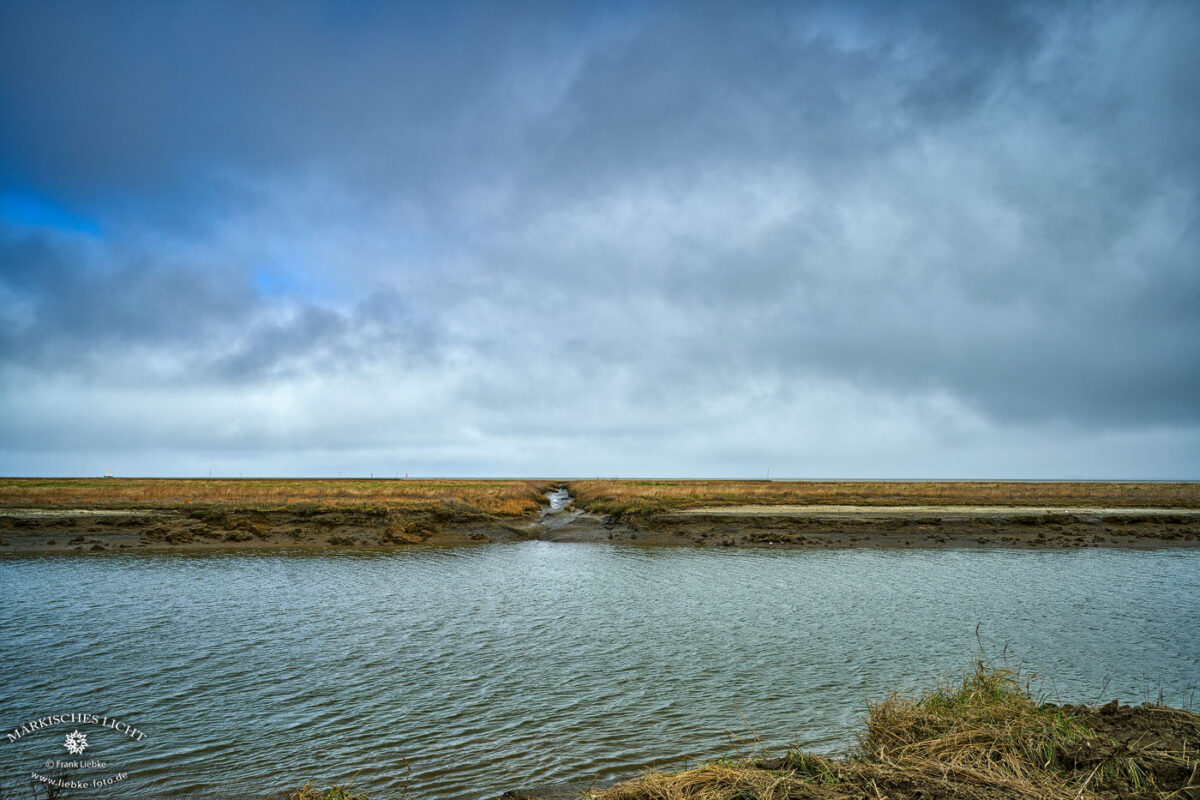 Der Langwarder Groden im Nationalpark Wattenmeer