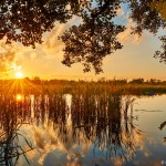Naturpark Barnim / Oranienburg