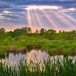 Naturpark Barnim Oranienburg
