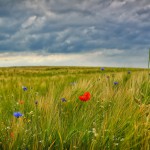 Uckermark