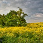 Uckermark