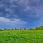 Vehlefanz