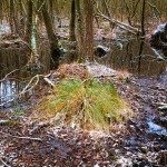 Sutschketal Naturschutzgebiet