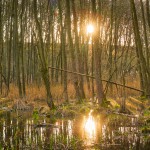 Sutschketal Naturschutzgebiet