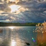 Zesch am See