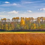 Beelitzer Land