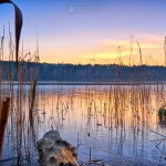 Frauensee