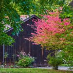 Lehde-Spreewald