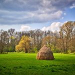 Lehde-Spreewald